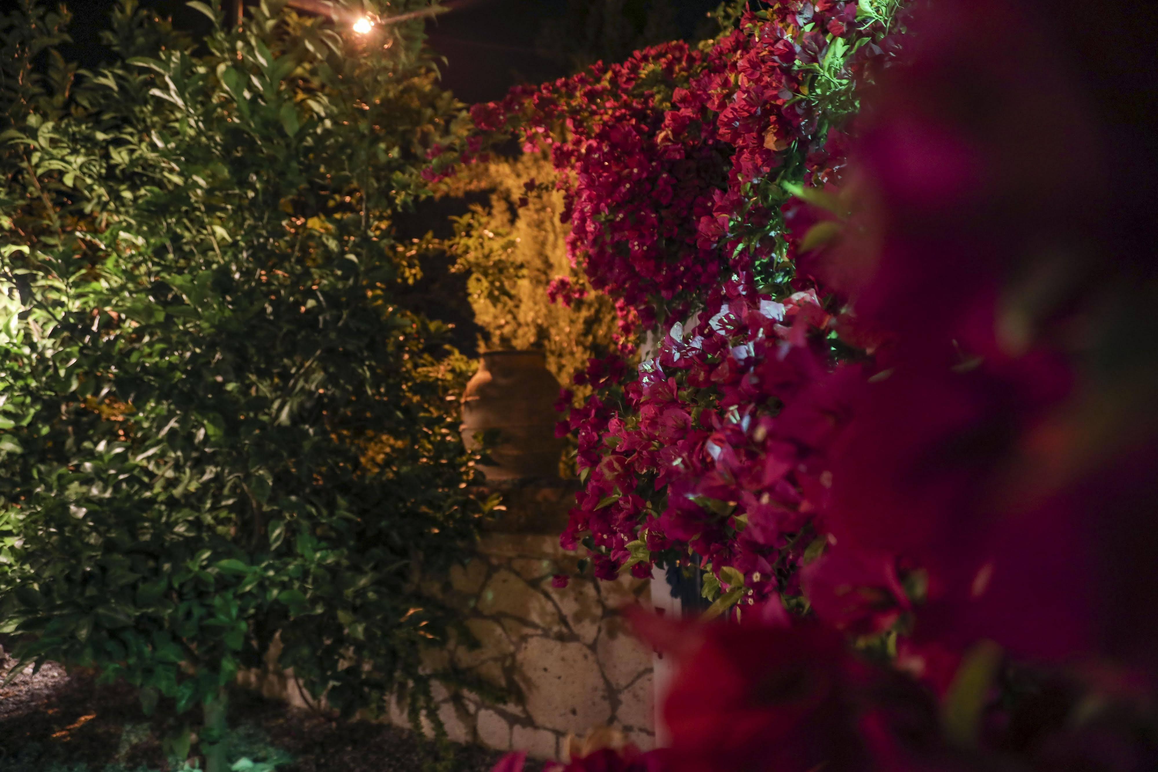Sari Gelin Alacati Hotel Luaran gambar