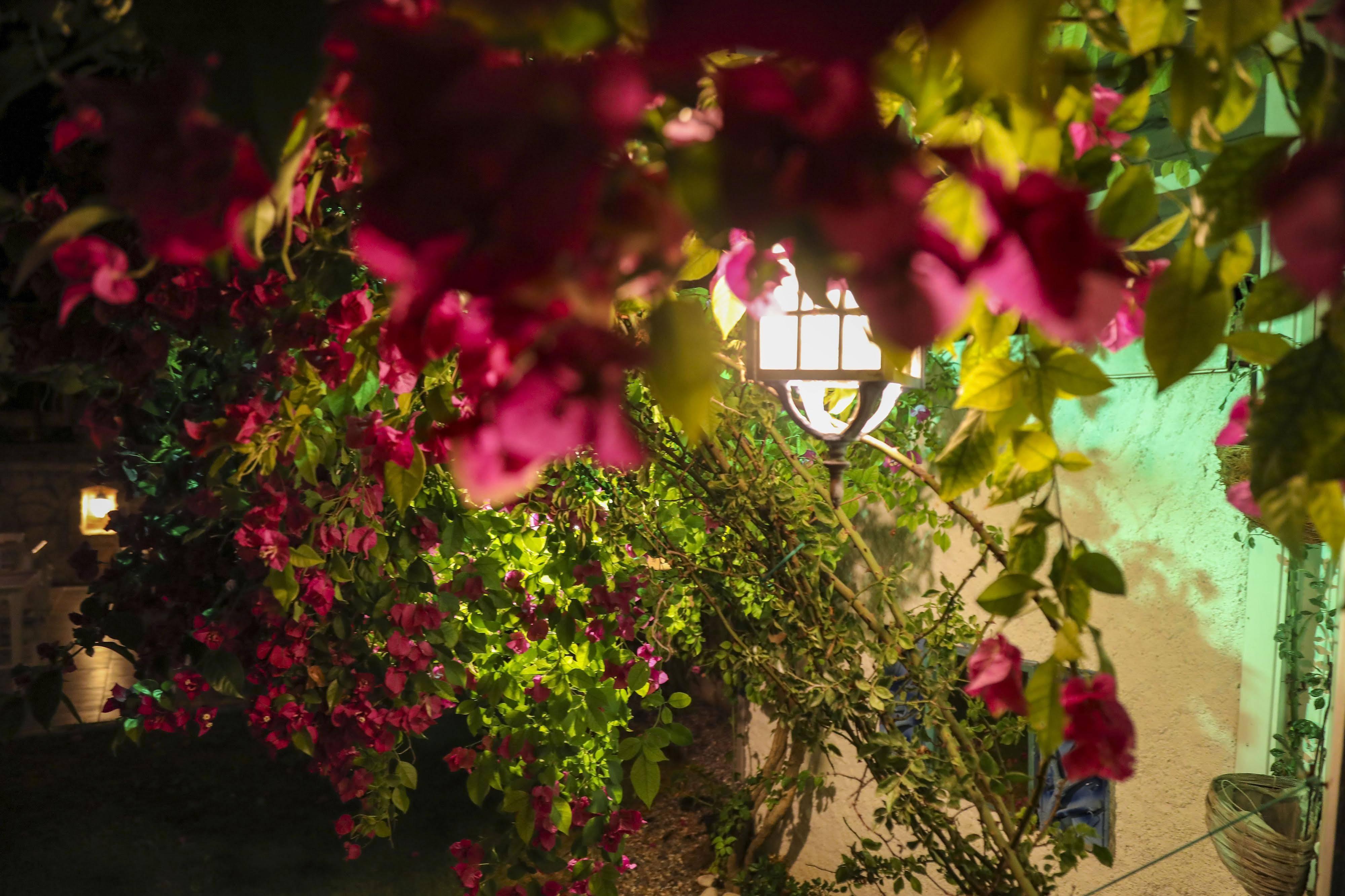 Sari Gelin Alacati Hotel Luaran gambar